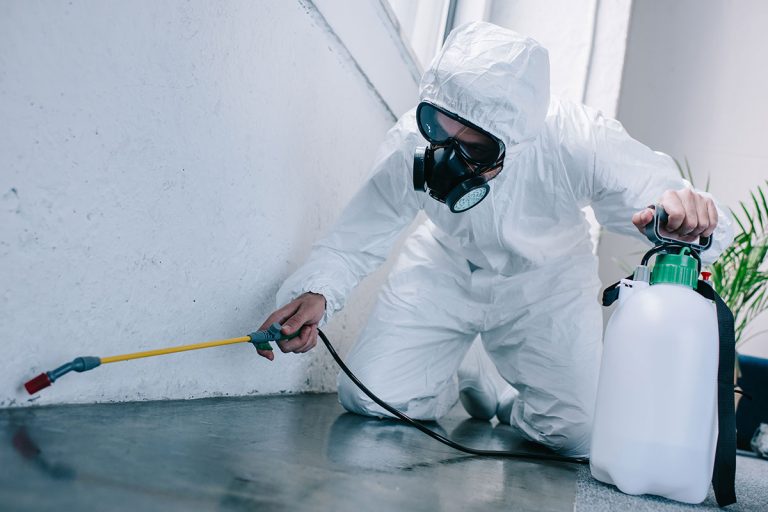 The Pest-Free Home A Comprehensive Guide to Control
