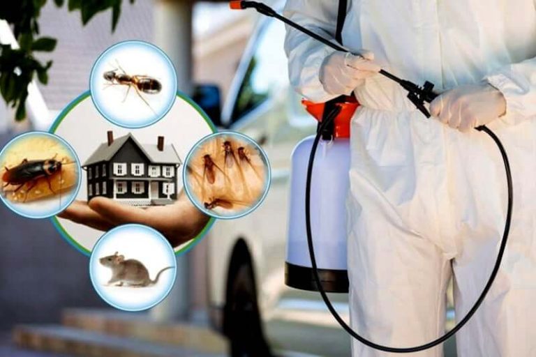 Safe Pest Control for Construction Sites