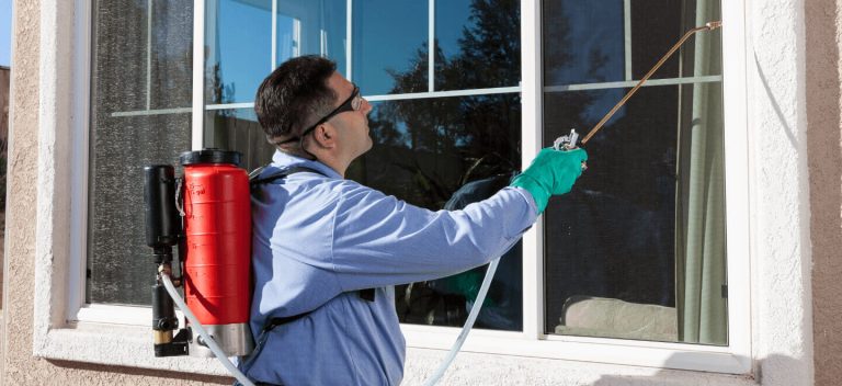 Advanced Pest Control Services: Staying Ahead of the Game